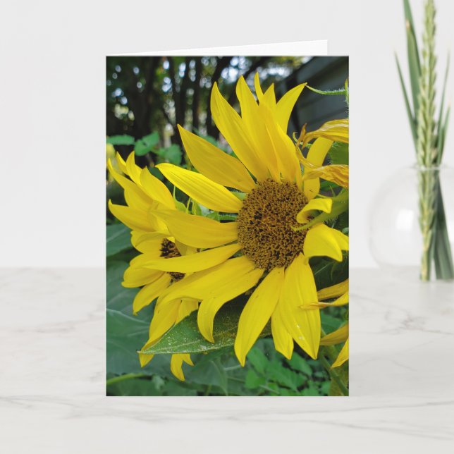 Sunflower Thank You Card (Front)