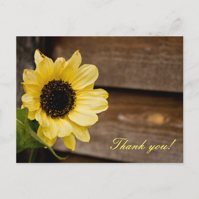 Sunflower thank you postcard (Front)