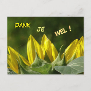 Sunflower Thank You Postcard