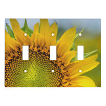Sunflower Three Toggle