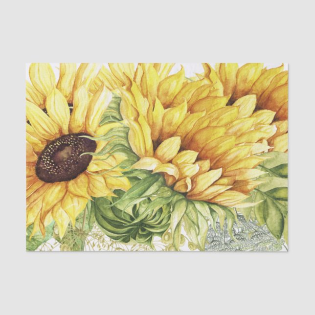 Sunflower Tissue for Gift Wrapping Tissue Paper (Front)