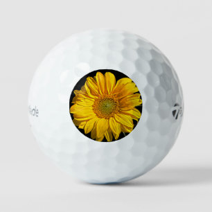 Sunflower tmtp5 gbcna golf balls