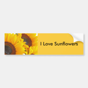 Sunflower Triplettes Bumper Sticker