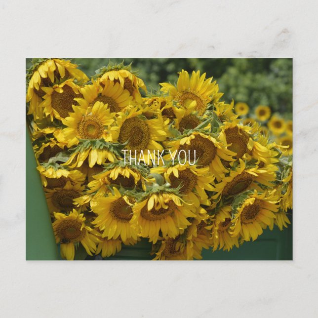 SUNFLOWER TRUCK POSTCARD (Front)