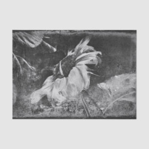 Sunflower Vintage Antique Black And White Texture Tissue Paper