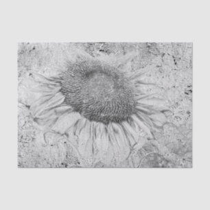 Sunflower Vintage Black White Distressed Texture Tissue Paper