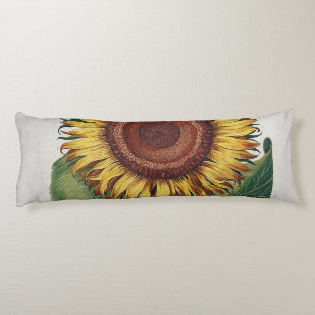 Sunflower Vintage Damask Flower Art Body Cushion (Back)