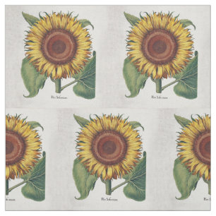 Sunflower Vintage Damask Flower Art Fabric