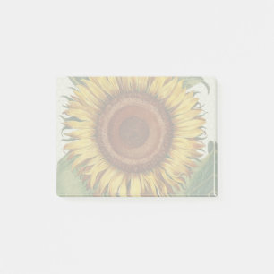 Sunflower Vintage Damask Flower Art Post-it Notes