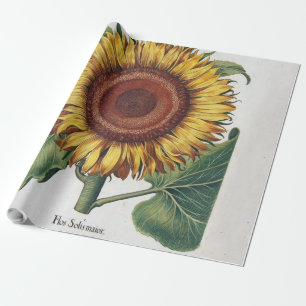 Sunflower Vintage Damask Flower Art Wrapping Paper