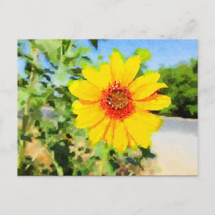 Sunflower Watercolor Postcard