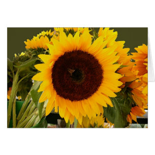 Sunflower with bee
