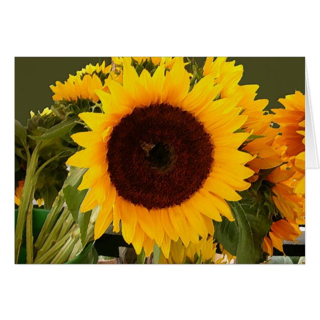 Sunflower with bee (Front Horizontal)