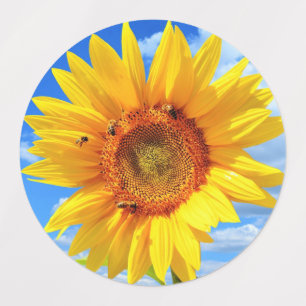 Sunflower with Bees Stickers