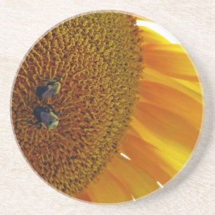 Sunflower with Bumblebees Coaster