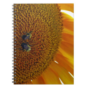 Sunflower with Bumblebees Notebook