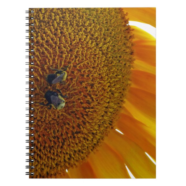 Sunflower with Bumblebees Notebook (Front)