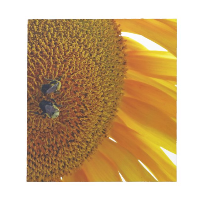 Sunflower with Bumblebees Notepad (Front)