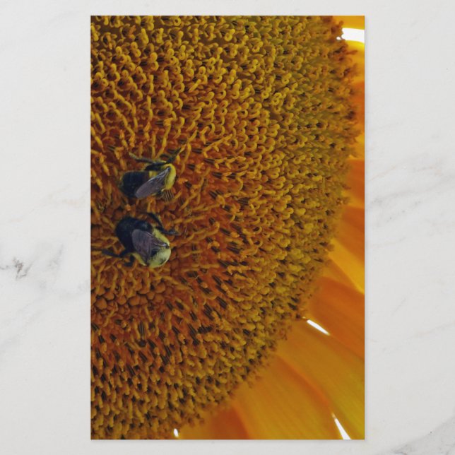 Sunflower with Bumblebees Stationery (Front)
