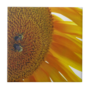 Sunflower with Bumblebees Tile