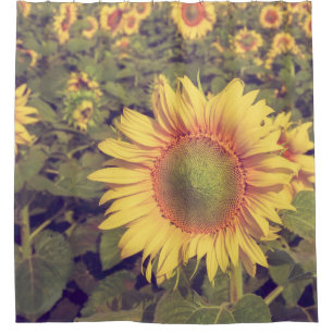 Sunflower with filter effect retro vintage styleag shower curtain