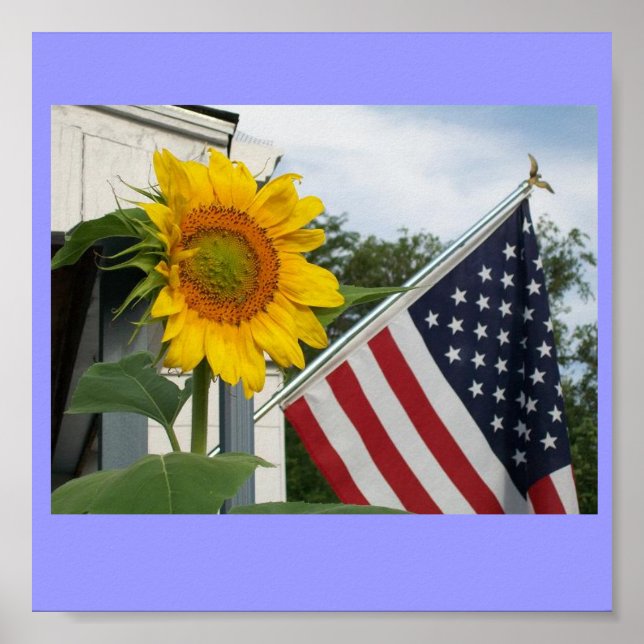 Sunflower with Flag Poster (Front)