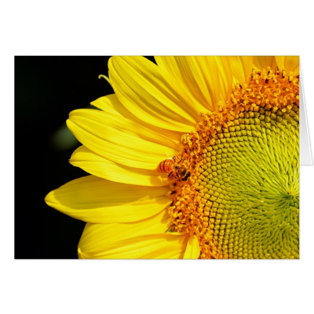 Sunflower With Honeybee Blank Card (Front Horizontal)