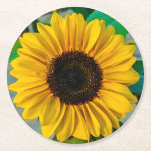 Sunflower with Honeybee Round Paper Coaster