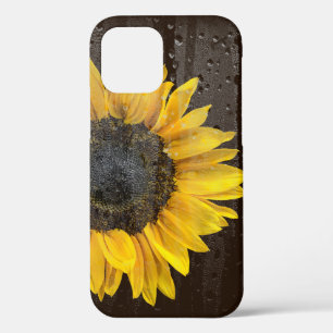 Sunflower with Raindrops on Window iPhone 12 Case