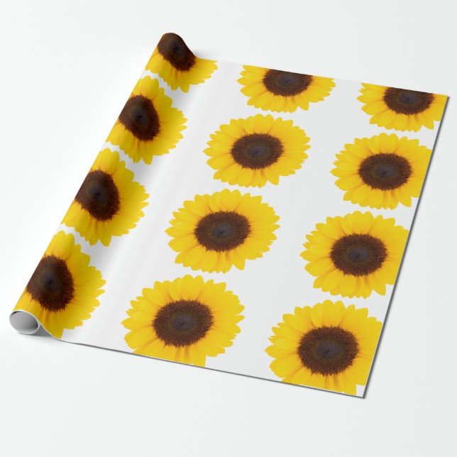Sunflower wrapping movie wrapping paper (Unrolled)