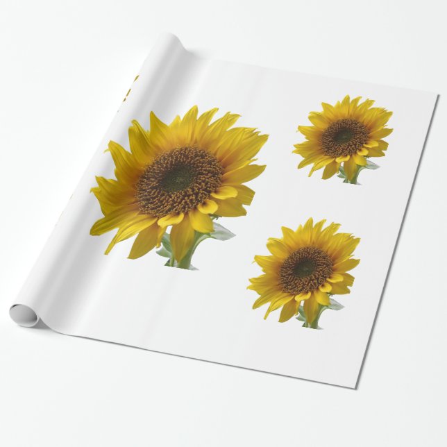 Sunflower Wrapping Paper (Unrolled)
