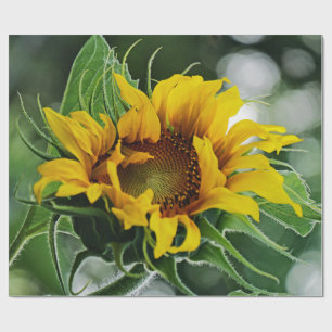 Sunflower Wrapping Paper