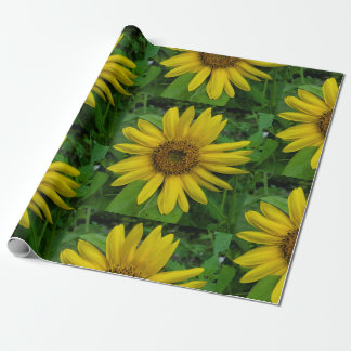 Sunflower Wrapping Paper