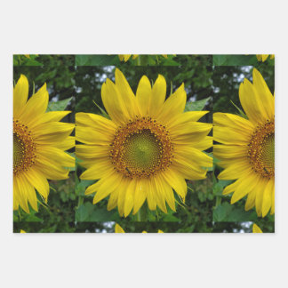 Sunflower Wrapping Paper Sheet