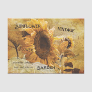 Sunflower Yellow Beautiful Country Ephemera Script Tissue Paper