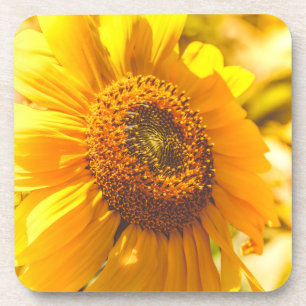 Sunflower Yellow Flower Coaster