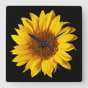 Sunflower Yellow on Black - Customised Sun Flowers Square Wall Clock
