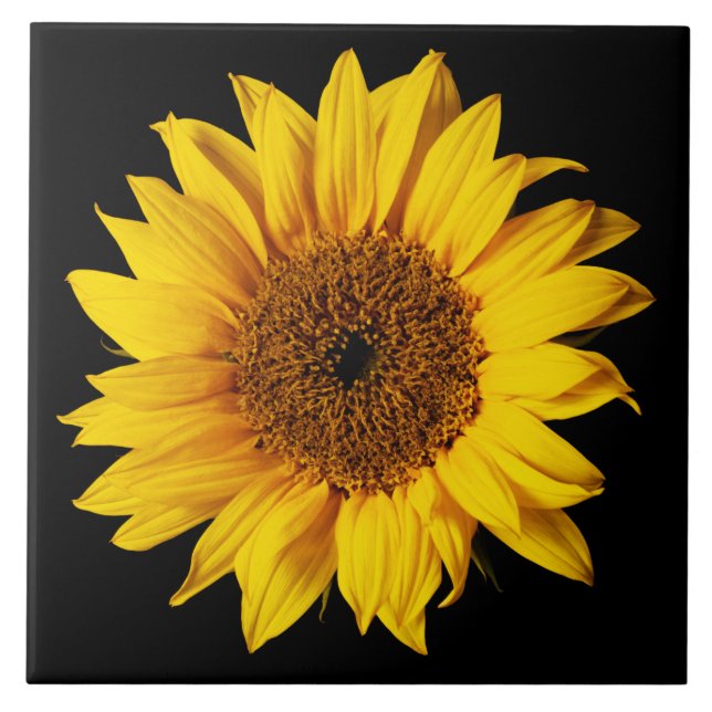 Sunflower Yellow on Black - Customised Sun Flowers Tile (Front)