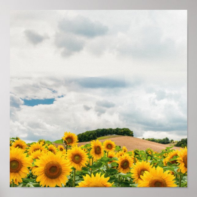 Sunflower Yellow Rustic Poster (Front)