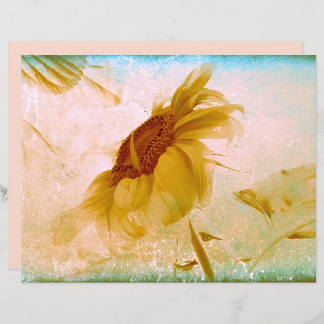 Sunflower Yellow Sepia Vintage Antique Texture (Front/Back)