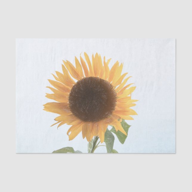 Sunflower Yellow Single Rustic Sketch Art Tissue Paper (Front)