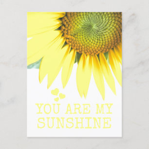 Sunflower You are my Sunshine Cute Valentine's Day Postcard