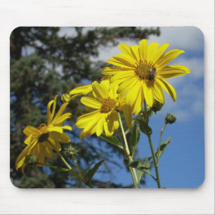 sunflowernbumblebee mouse pad