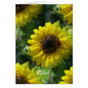 Sunflowers
