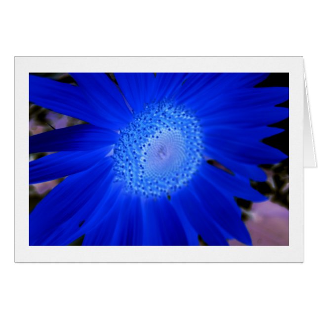 Sunflowers (Front Horizontal)