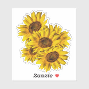 Sunflowers 