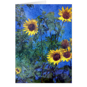 Sunflowers