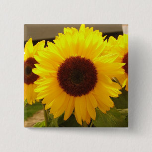 Sunflowers 15 Cm Square Badge