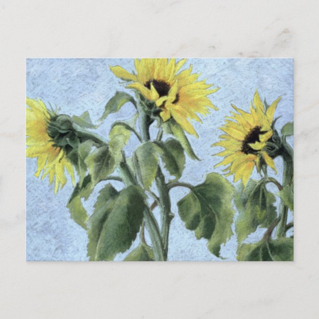 Sunflowers 1996 postcard (Front)