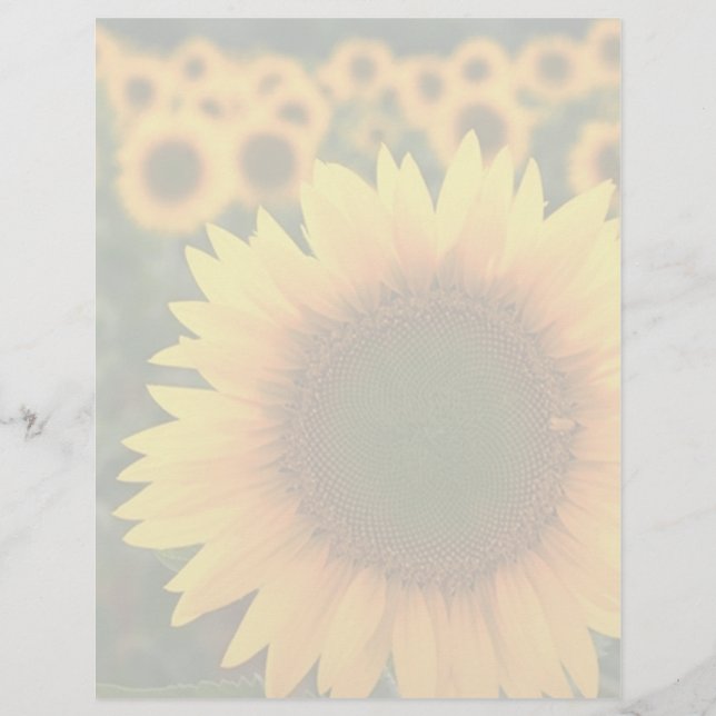 Sunflowers 2 (Front)